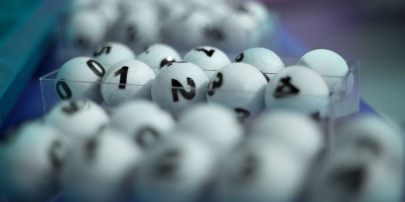 Am hiểu kinh nghiệm sẽ giúp nâng cao dự đoán chuẩn xác