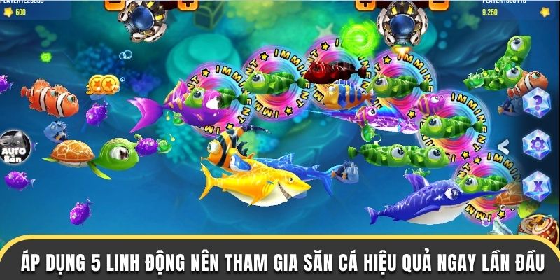 Áp dụng 5 linh động nên tham gia săn cá hiệu quả ngay lần đầu